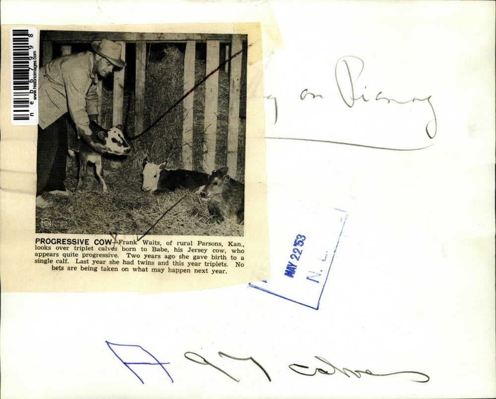 1953 Press Photo Frank Waits Parsons Kansas farmer & triplet calves - neb67998