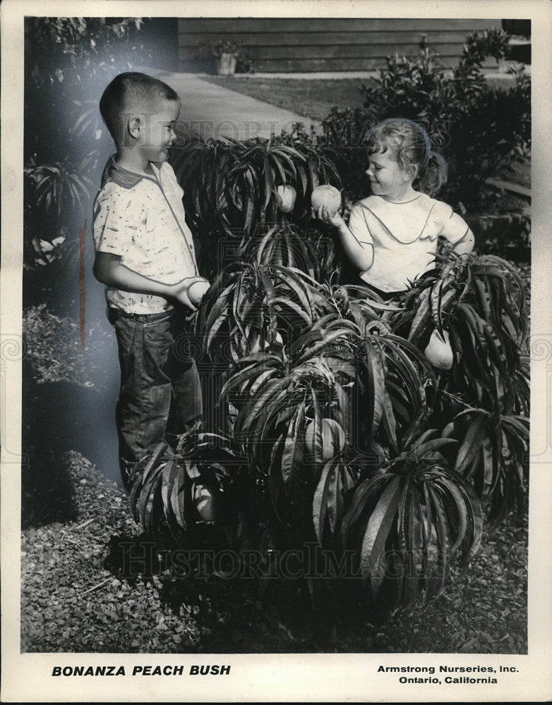 1962 Press Photo Peaches- Historic Images