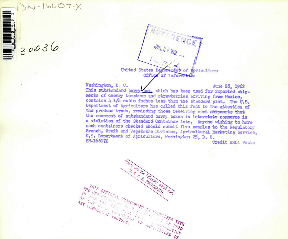 1962 Press Photo US Department of Agriculture Berry Sorting System - neb70431