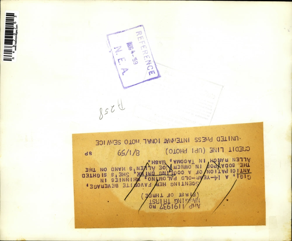 1959 Press Photo Joe Allen with Palomino Horse Gigi at Allen Ranch