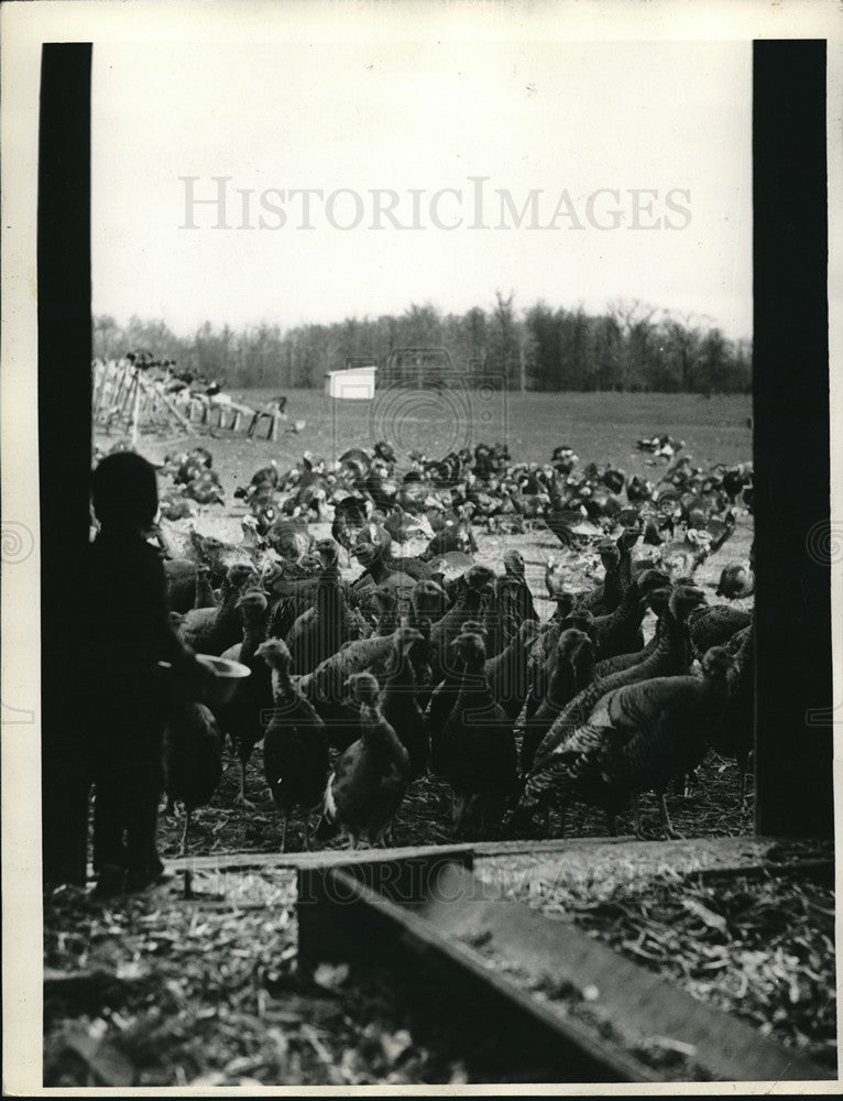 1934 Press Photo Farm of Rail Chatan- Historic Images