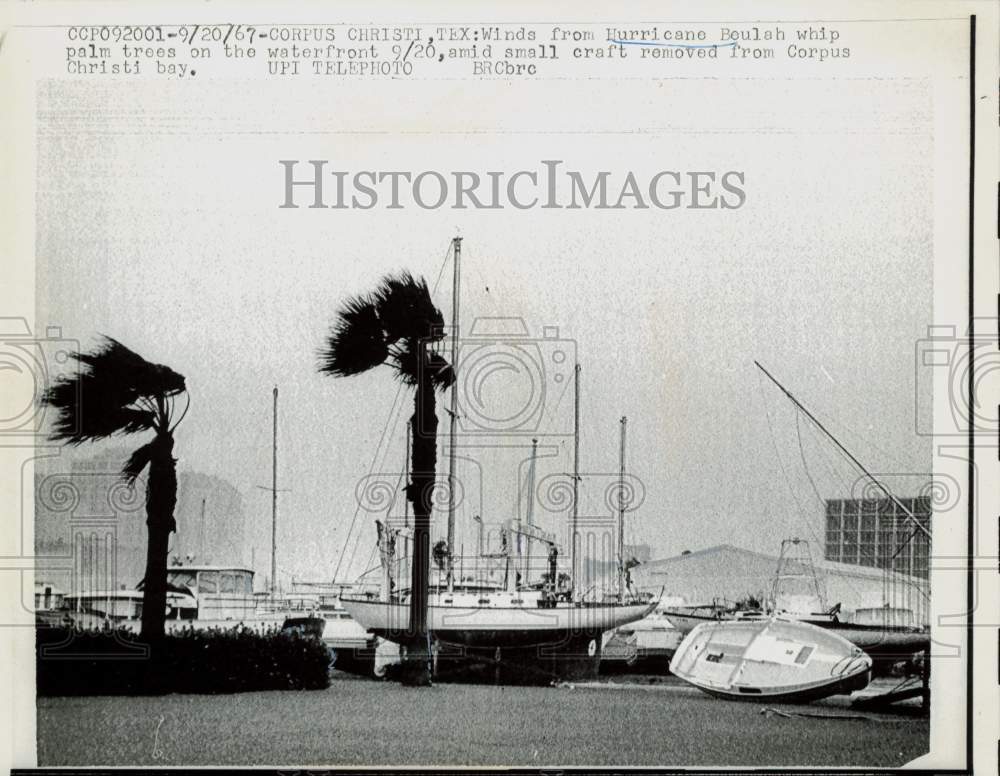 1967 Press Photo Winds from Hurricane Beulah whip Corpus Christie waterfront TX- Historic Images