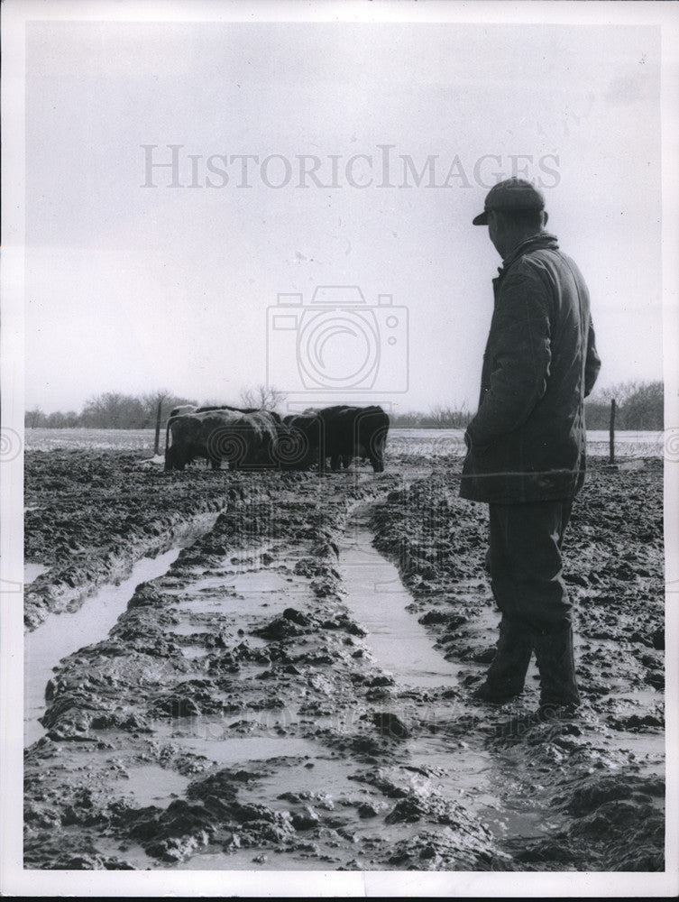 1958 Press Photo Frank W. Martin Of Mentor Checks On His Dairy Cattle