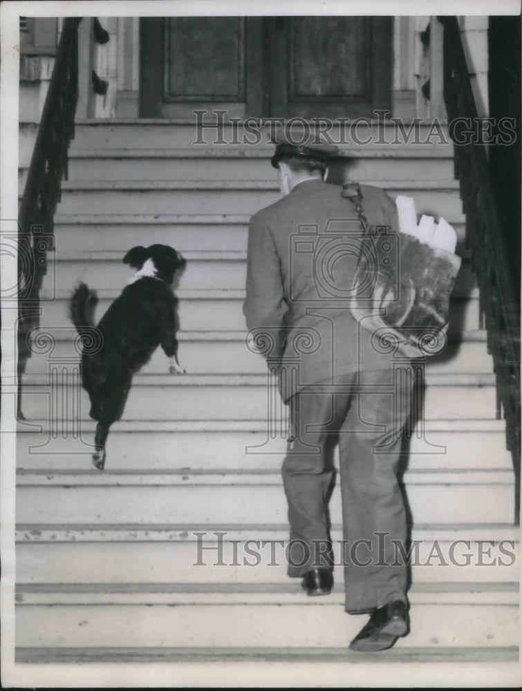 1949 Press Photo Mail Carrier Joseph Kruczek with Dog Fuski who Follows Route- Historic Images
