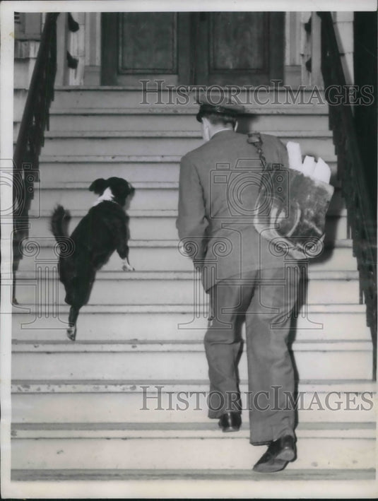 1949 Press Photo Mail Carrier Joseph Kruczek with Dog Fuski who Follows Route- Historic Images