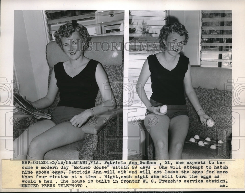 1955 Press Photo Patricia Ann Godbee attempts to hatch goose eggs in Miami