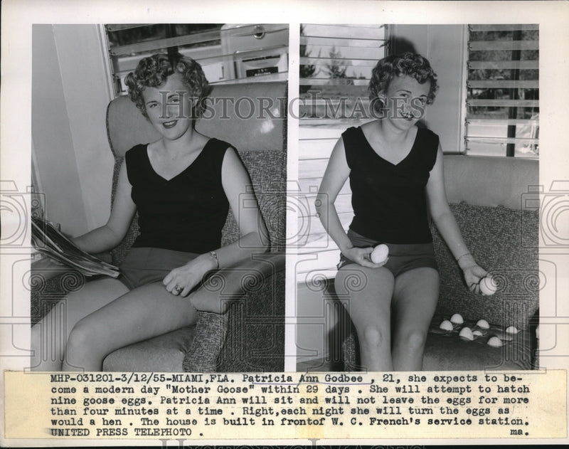 Load image into Gallery viewer, 1955 Press Photo Patricia Ann Godbee attempts to hatch goose eggs in Miami
