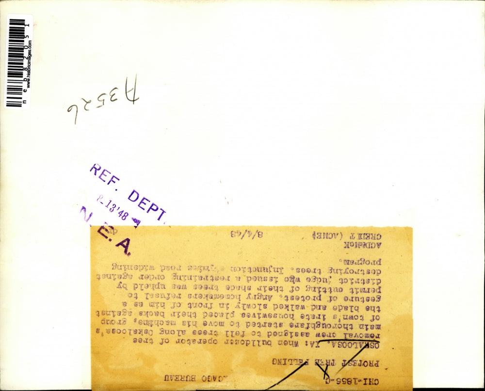 1948 Press Photo Angry Homemakers Refuse to Let them Cut Down a Tree in Okloosa