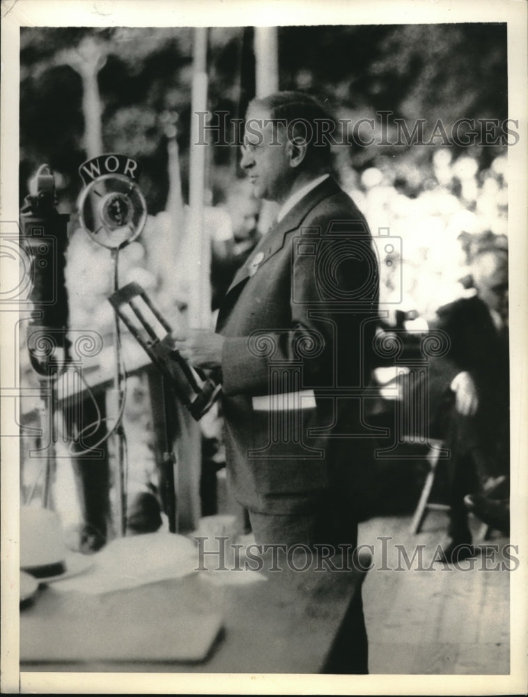 1933 Press Photo Secretary of Interior Harold Ickes- Historic Images