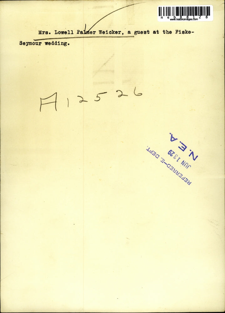 1929 Press Photo Mrs Lowell Palmer Weicker Guest at Fiske-Seymour Wedding