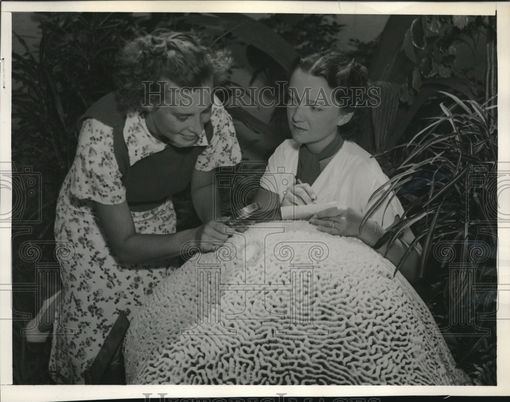 1937 Press Photo Gloria Wheeden, Muriel MacDonald, Miami University- Historic Images