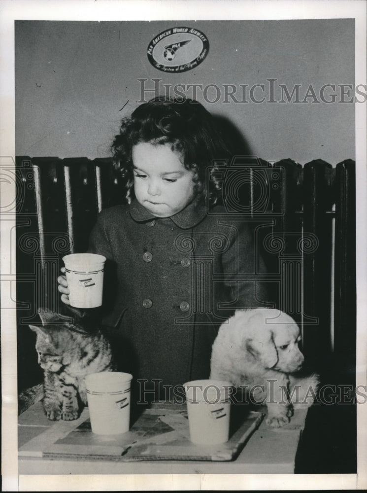 1948 Press Photo Denise McLaughlin Age 2 with New Friends Puppy & Kitten- Historic Images