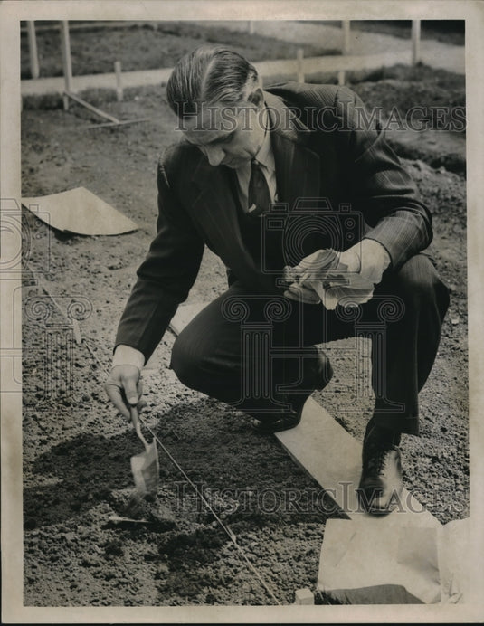 1944 Press Photo Bert Weston Templin-Bradley Comp Planting Cabbage - Historic Images