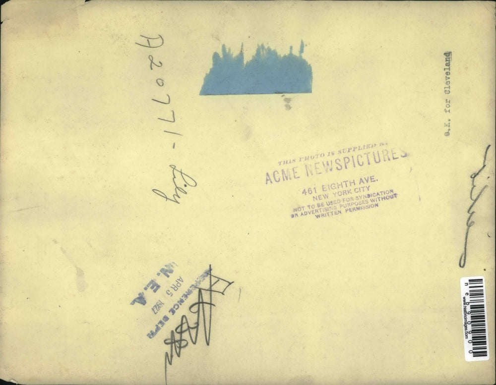 1927 Press Photo Fields of lily flowers in bloom - neb90900