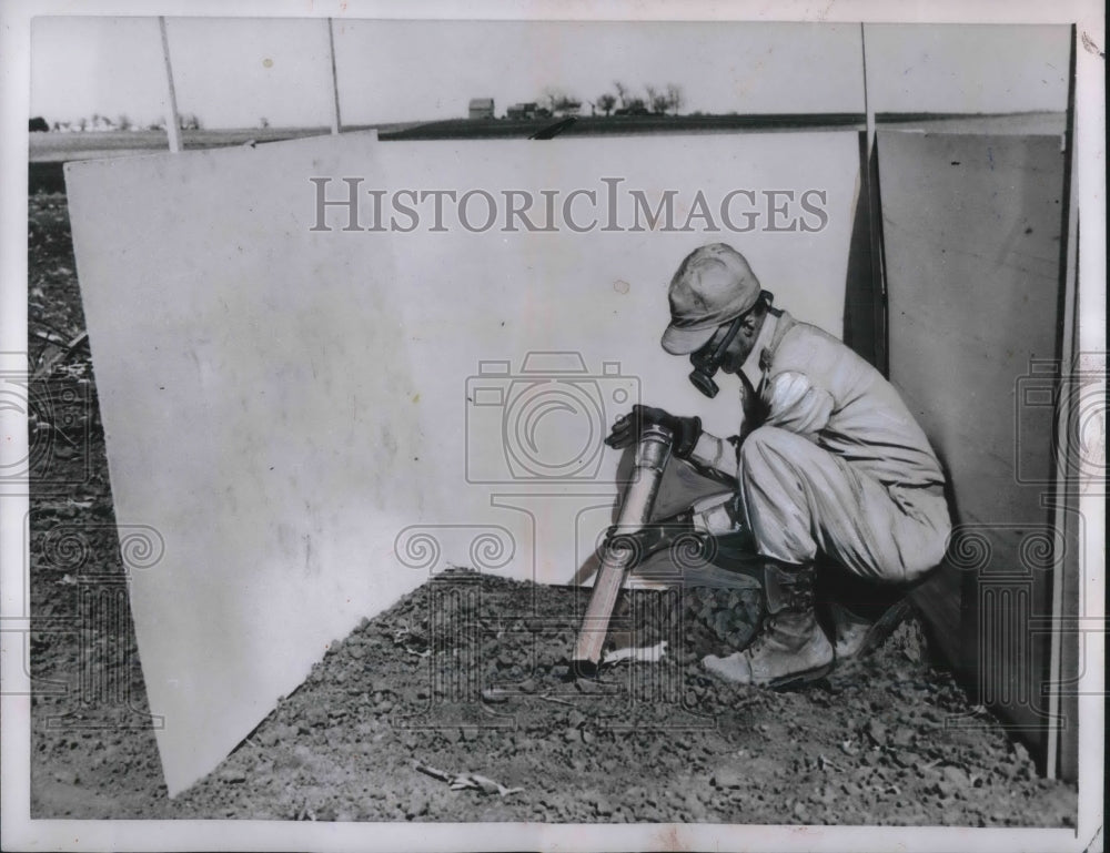 1954 Press Photo Plants use Fertlizers Clarion Iowa- Historic Images