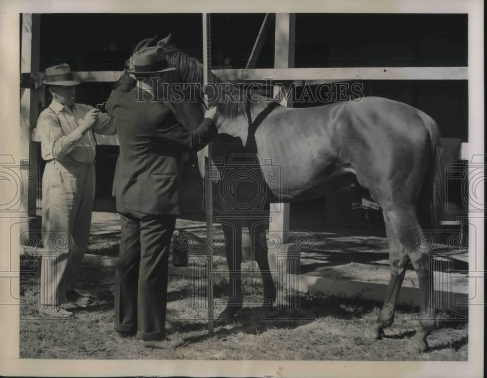 1939 Press Photo Dr. Walter Turnier checking on Warlaine with her owner.- Historic Images