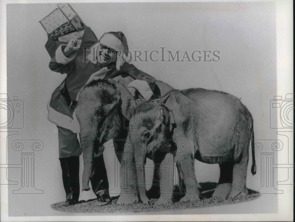 1965 Press Photo Glenn Lietuer in a Santa Clause costume w/ 2 elephants - Historic Images