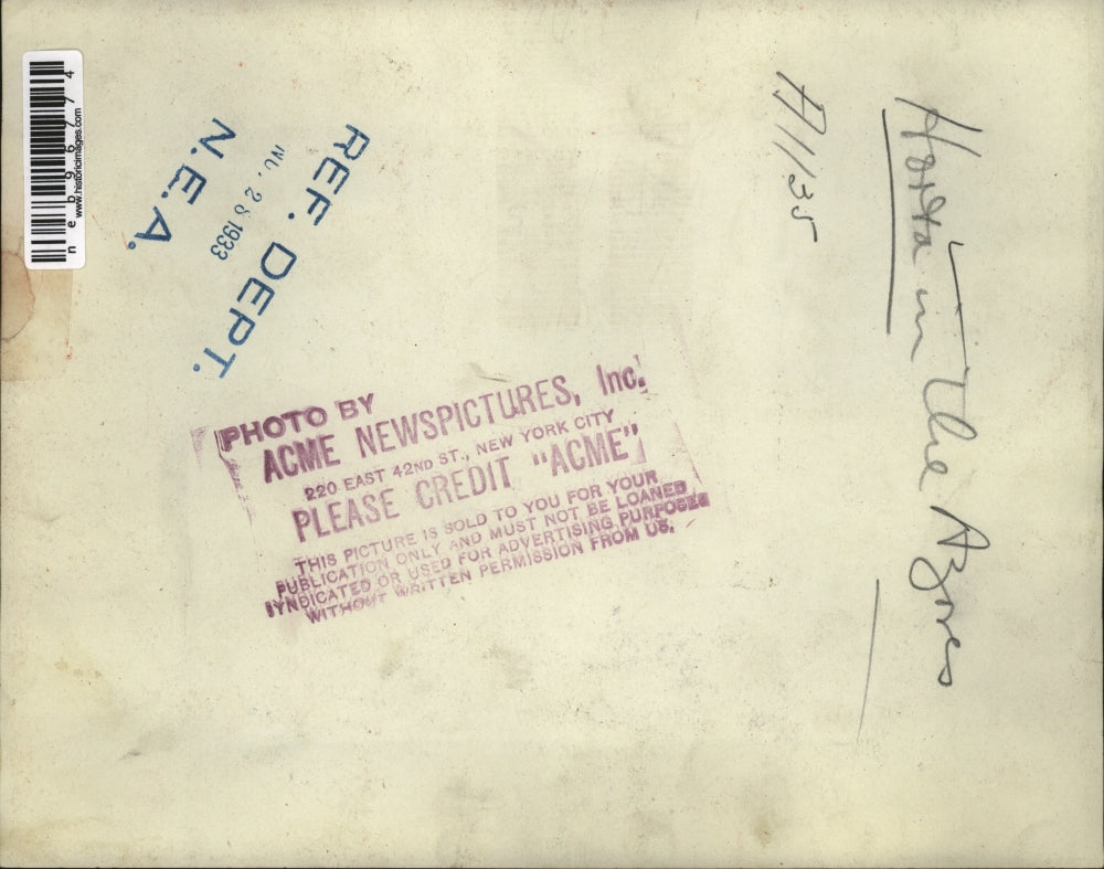 1933 Press Photo Arial view of tht town of Hotta in The Azores - neb96774