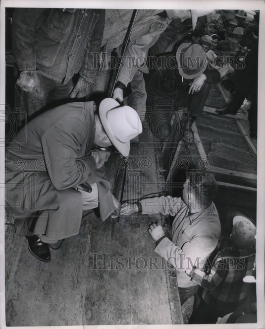 1951 Press Photo Rattlenake roundup  being measured - Historic Images