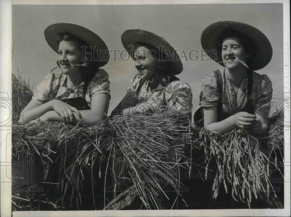 1948 Press Photo Omer L&#39;Heaurex Farm Children Harvesting Crops- Historic Images