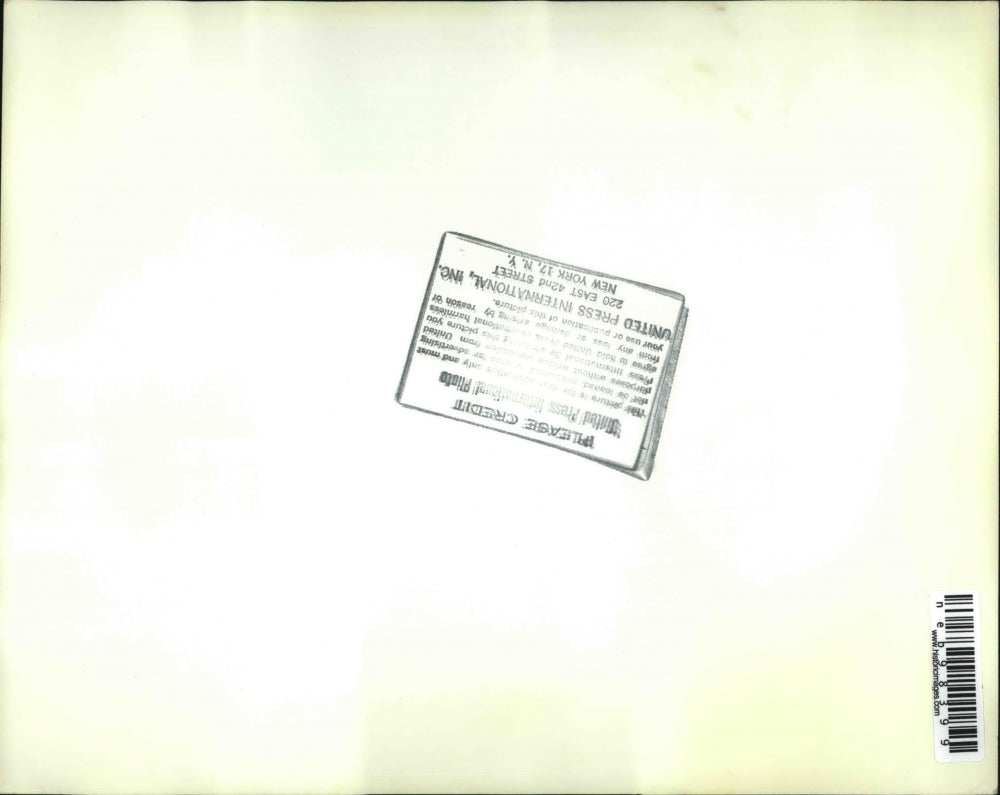 1973 Press Photo Undernourished Camels Rest in Ditch in Central Niger, Africa