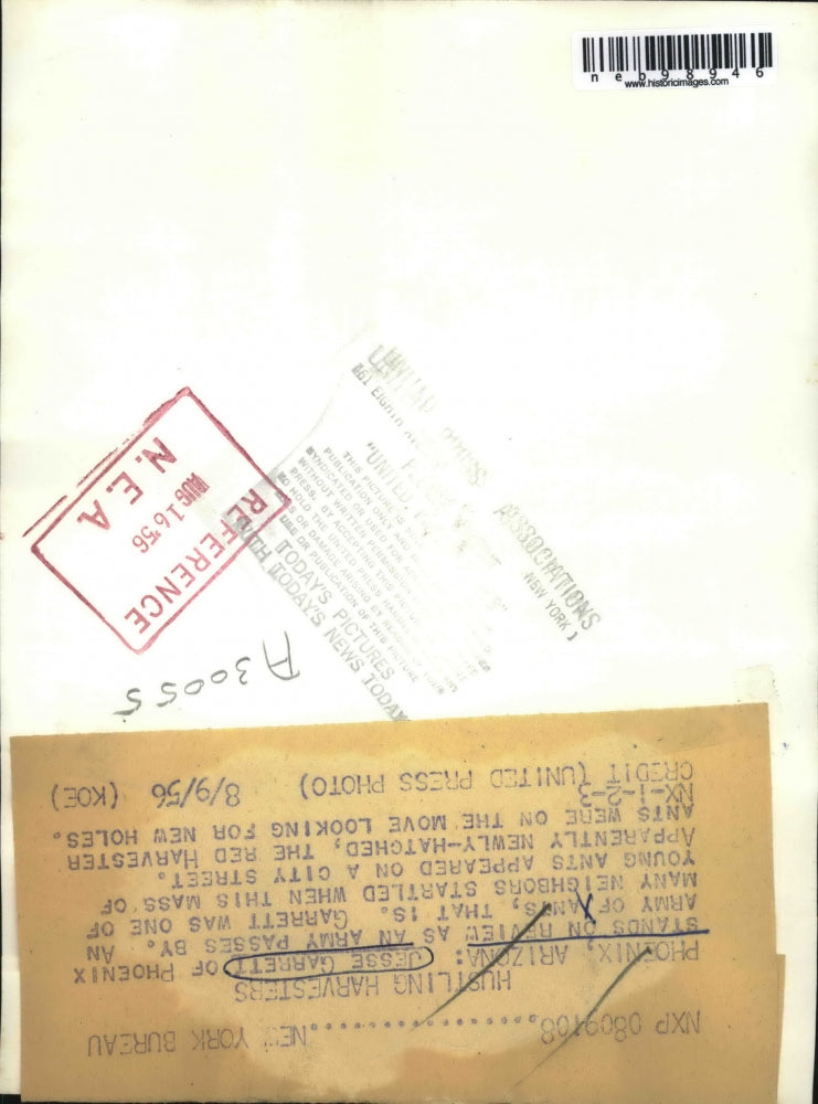 1956 Press Photo Phoenix Arizona Jesse Garrett Ants Take Over City Streets