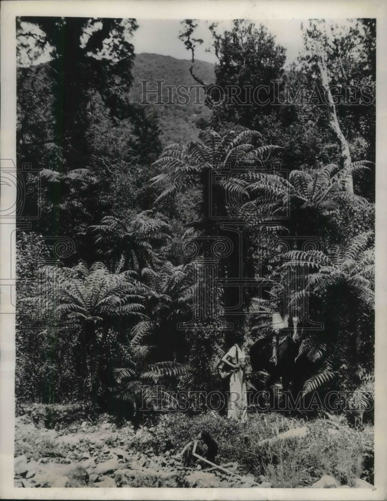 Load image into Gallery viewer, 1940 Press Photo New Zealand's Abundant Vegetation Semi-Tropical
