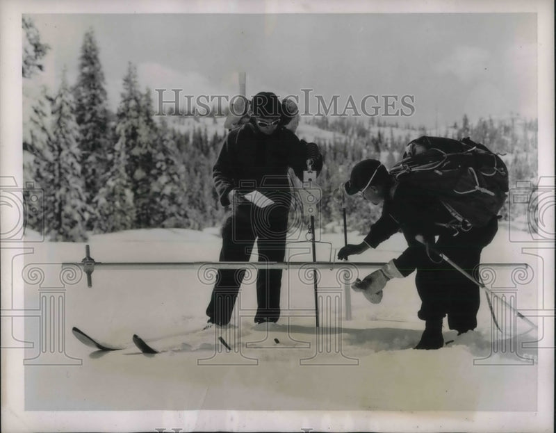 Load image into Gallery viewer, 1939 Press Photo Snow weighted Patrol - nec06785
