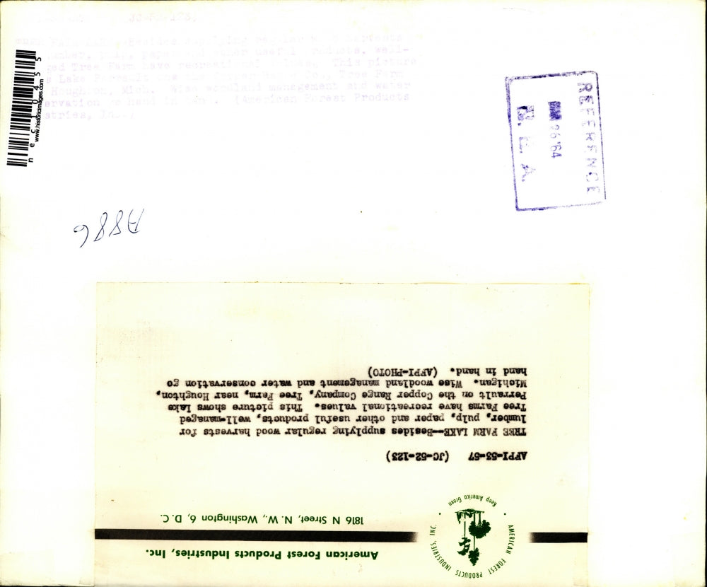 1964 Press Photo Families at Lake Perrault in Michigan having fun