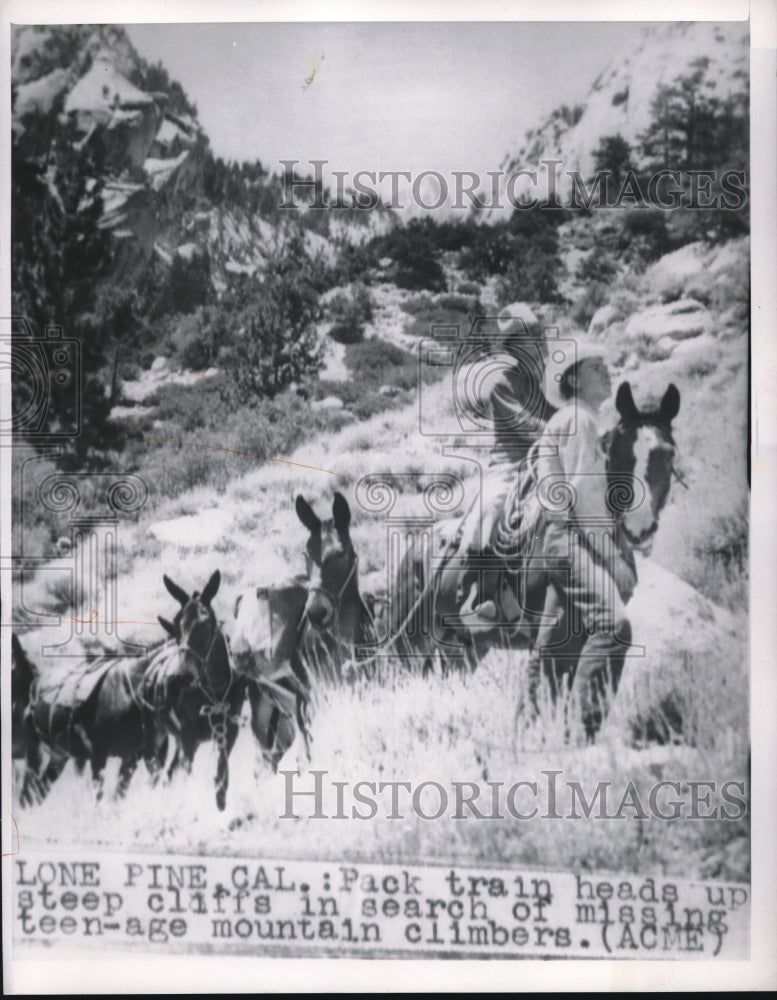 Press Photo Pack train heads up steep cliffs in search of missing teenager