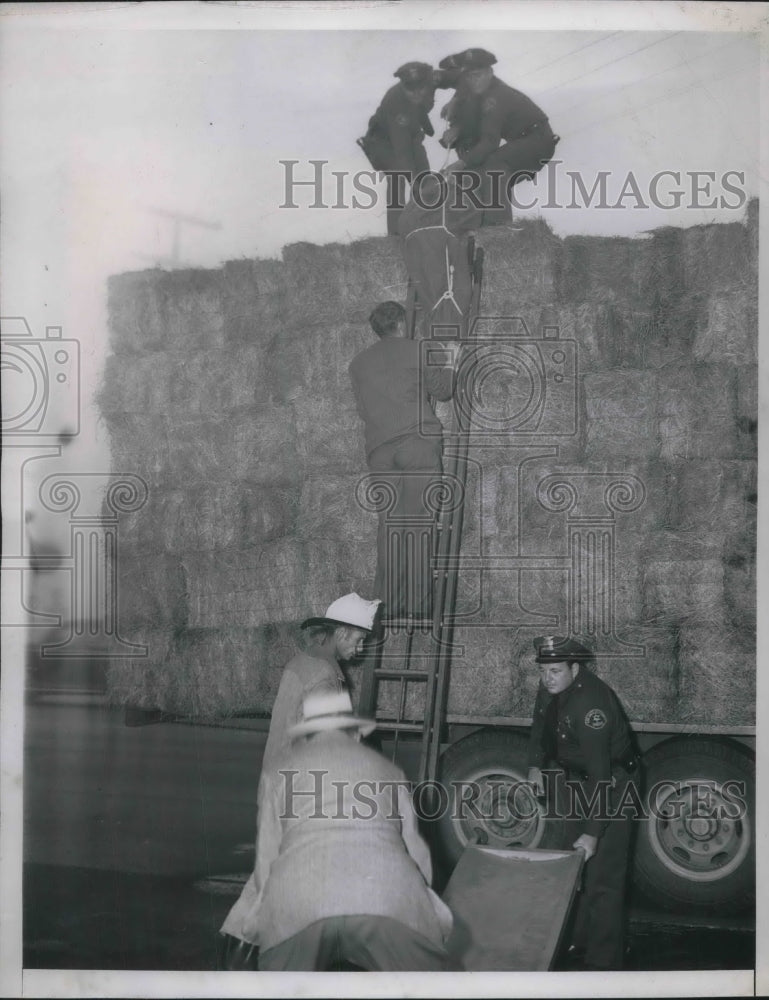 1946 Press Photo Four Men Crushed to Death After Falling Off a Truck