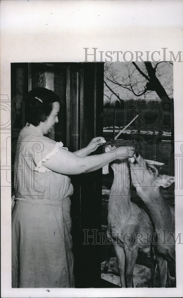 1950 Press Photo Mrs. Walter Boettcher Gives food to bucks - Historic Images