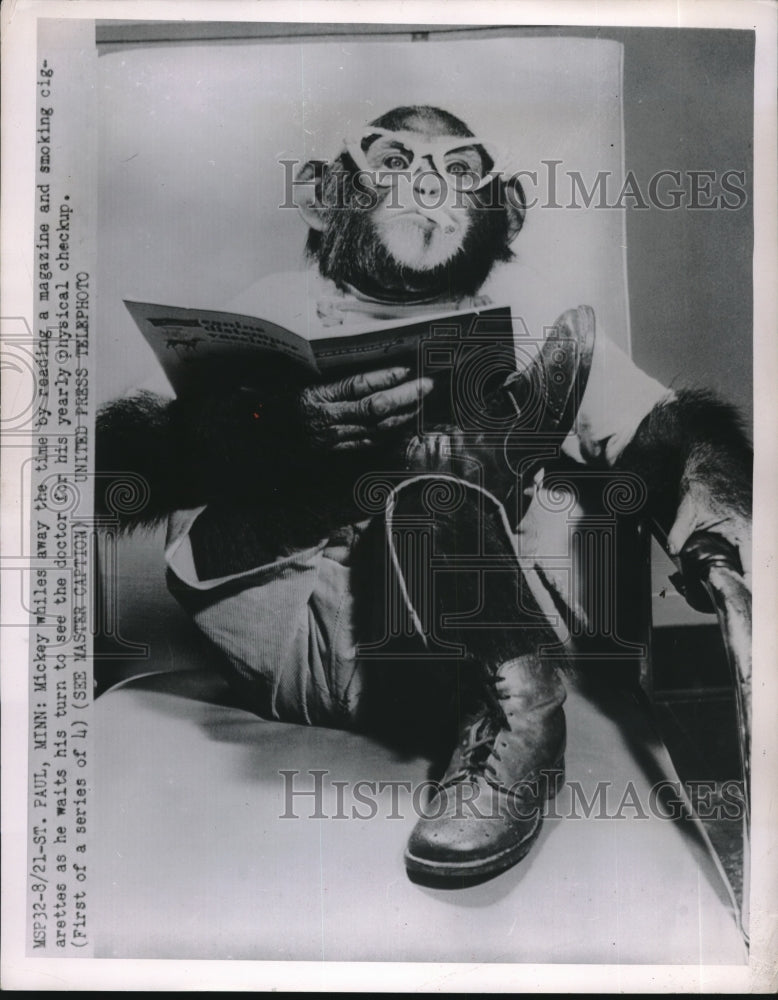 1952 Press Photo Mickey the money reading a magazine while smoking- Historic Images