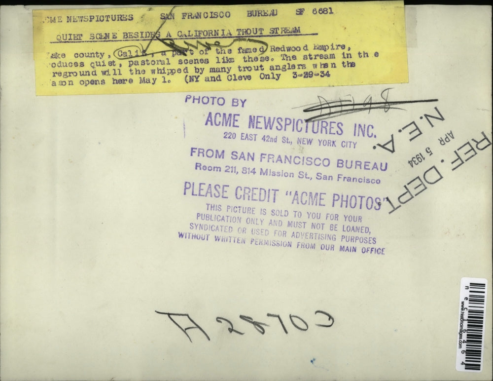 1934 Press Photo California Trout Stream Lake County Redwood Empire