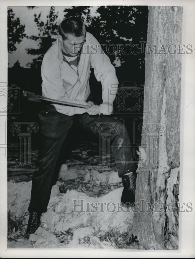 Load image into Gallery viewer, 1961 Press Photo Boxer Tom McNeely chops tree
