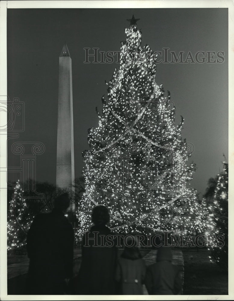 1963 Press Photo View of White House Christmas Tree in Lights