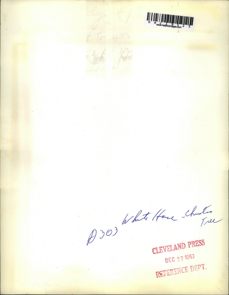 1963 Press Photo View of White House Christmas Tree in Lights