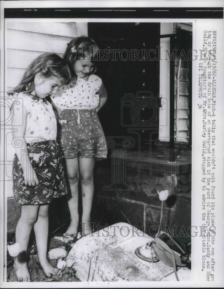 Load image into Gallery viewer, 1962 Press Photo Twin Daughters of Mr &amp; Mrs Hurley Guild with Tulips - nec20273
