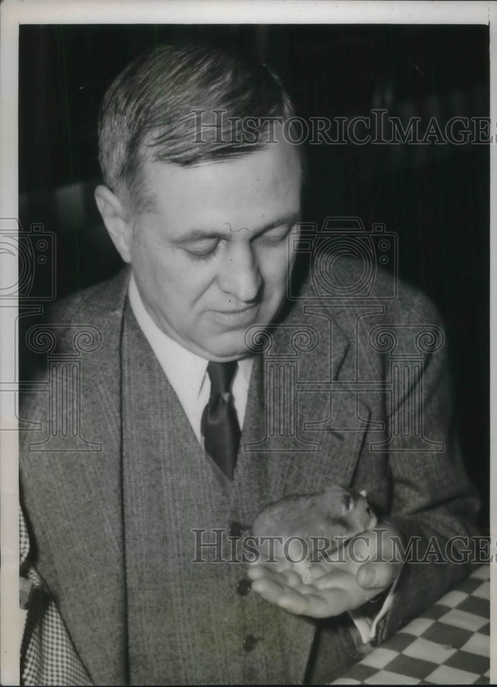 Load image into Gallery viewer, 1940 Press Photo Dr. Edmund Cowdry, prof. of Cytology at Washington University
