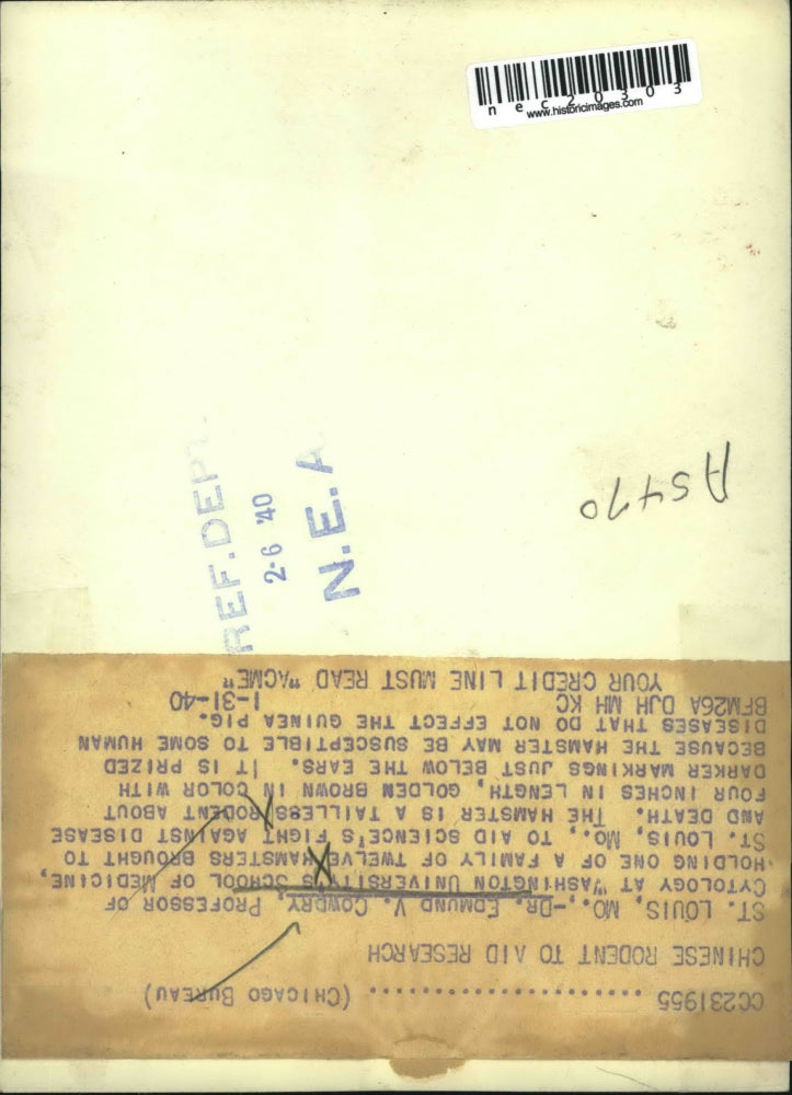 1940 Press Photo Dr. Edmund Cowdry, prof. of Cytology at Washington University