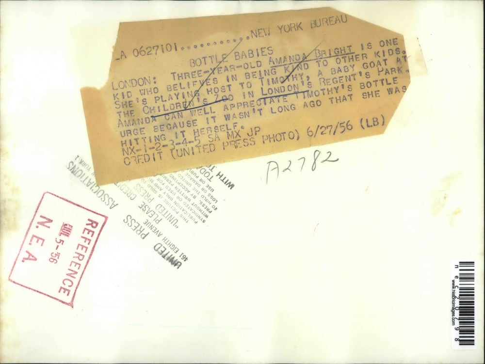 1956 Press Photo Amanda Bright with Baby Goat Children's Zoo in London