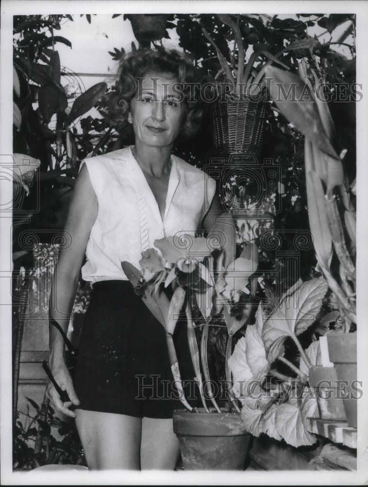 1962 Press Photo Mrs. Charles Saykaly in Rooftop Garden