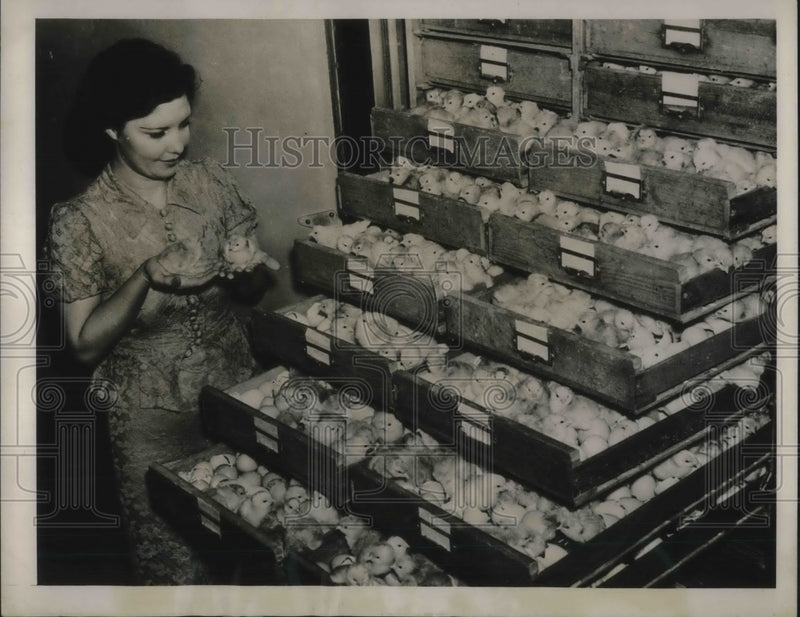 Load image into Gallery viewer, 1939 Press Photo Floria Canino Helps Baby Chicks Take First Peep At The World
