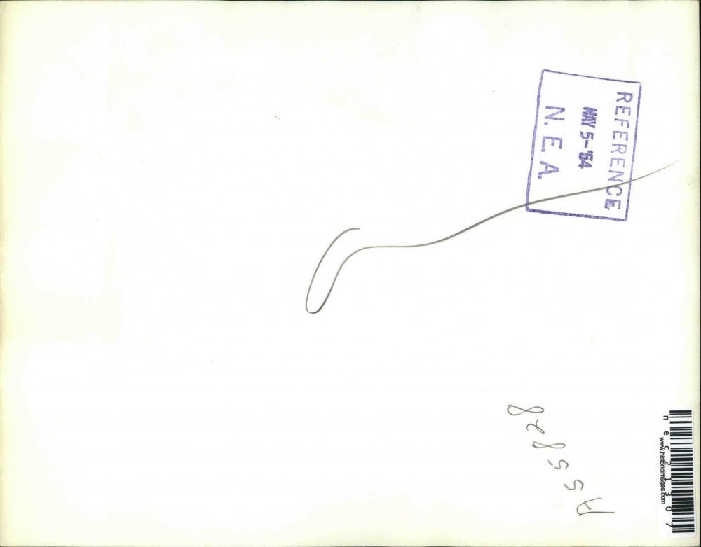 1954 Press Photo Chicago Catholic Bishop Bernard Sheil Given Lions Club Award