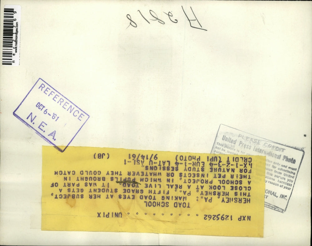 1961 Press Photo Fifth-Grade Student Looking at Toad