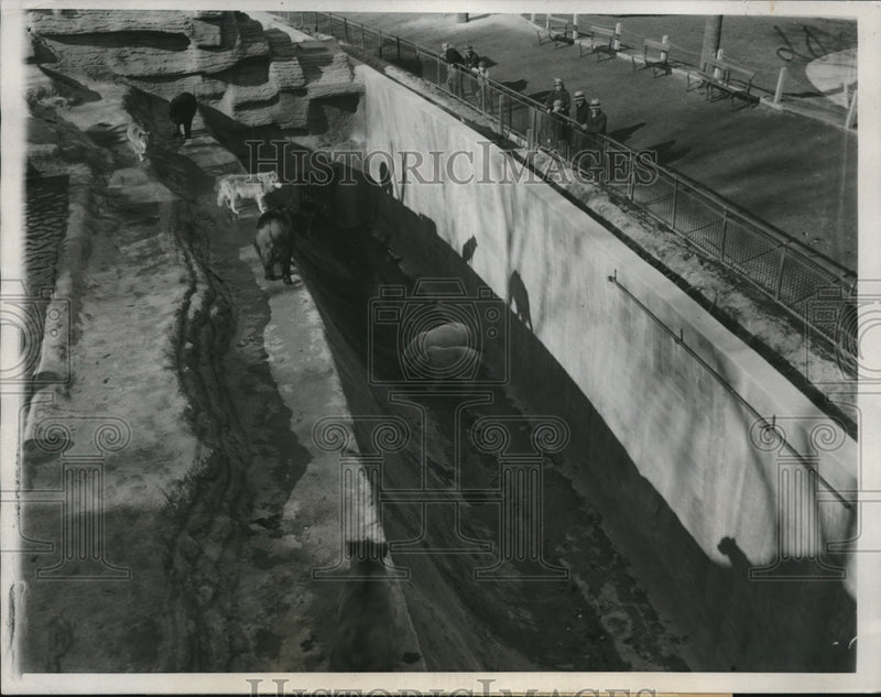 Load image into Gallery viewer, 1933 Press Photo Bear Pit in Washington Park, Wisconsin
