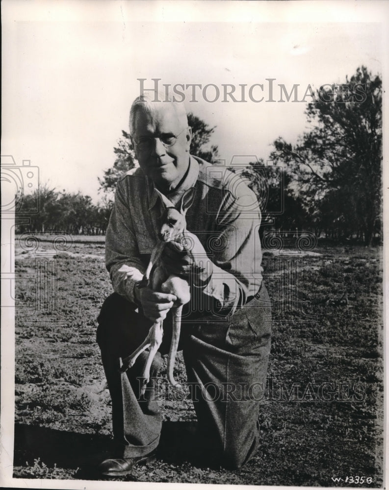1950 Press Photo Joey Baby Kangaroo Jim Lincoln