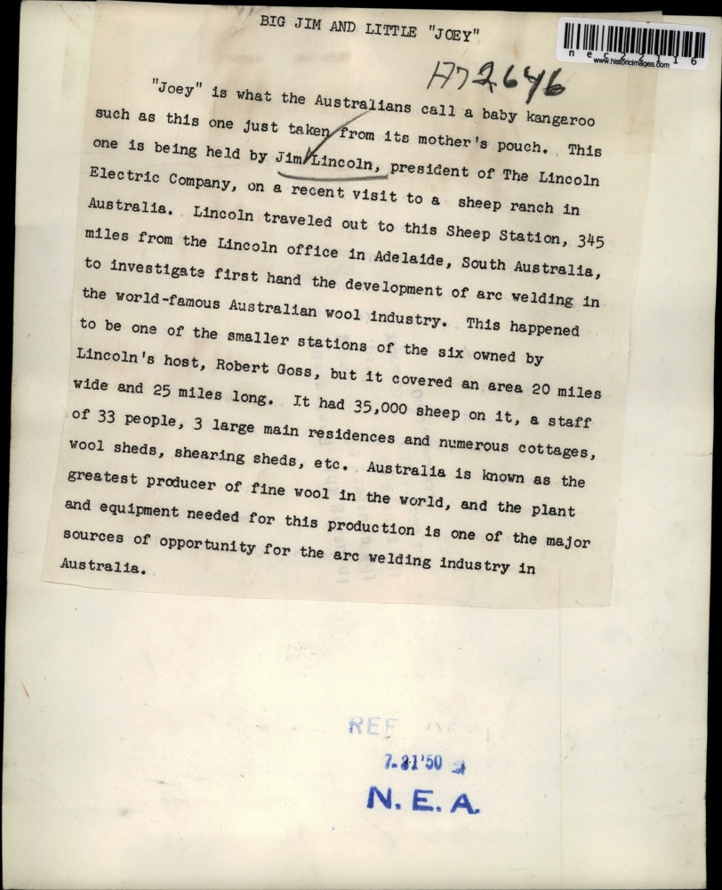 1950 Press Photo Joey Baby Kangaroo Jim Lincoln