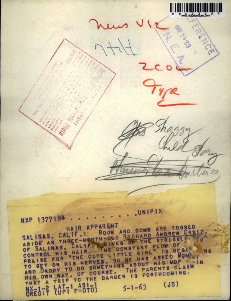 1963 Press Photo Little Californian with wild hair