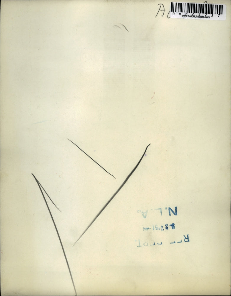 1951 Press Photo Jack O'Leary And His Mom Hope To Get Rid Of His Hiccups